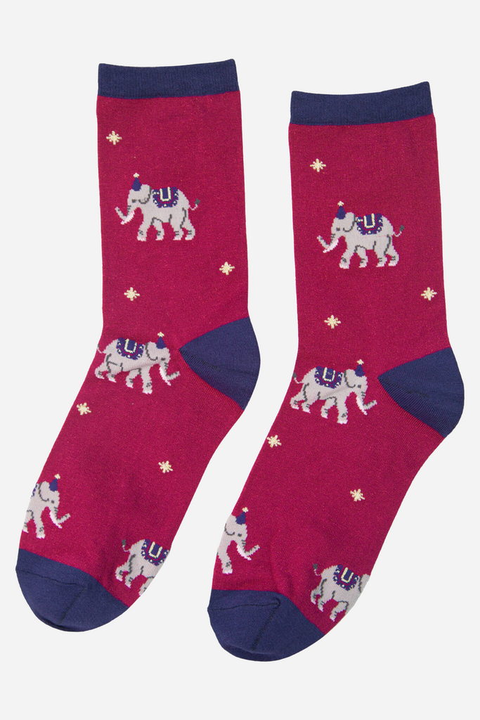 burgundy socks with elephants on them, navy toe, heel and trim