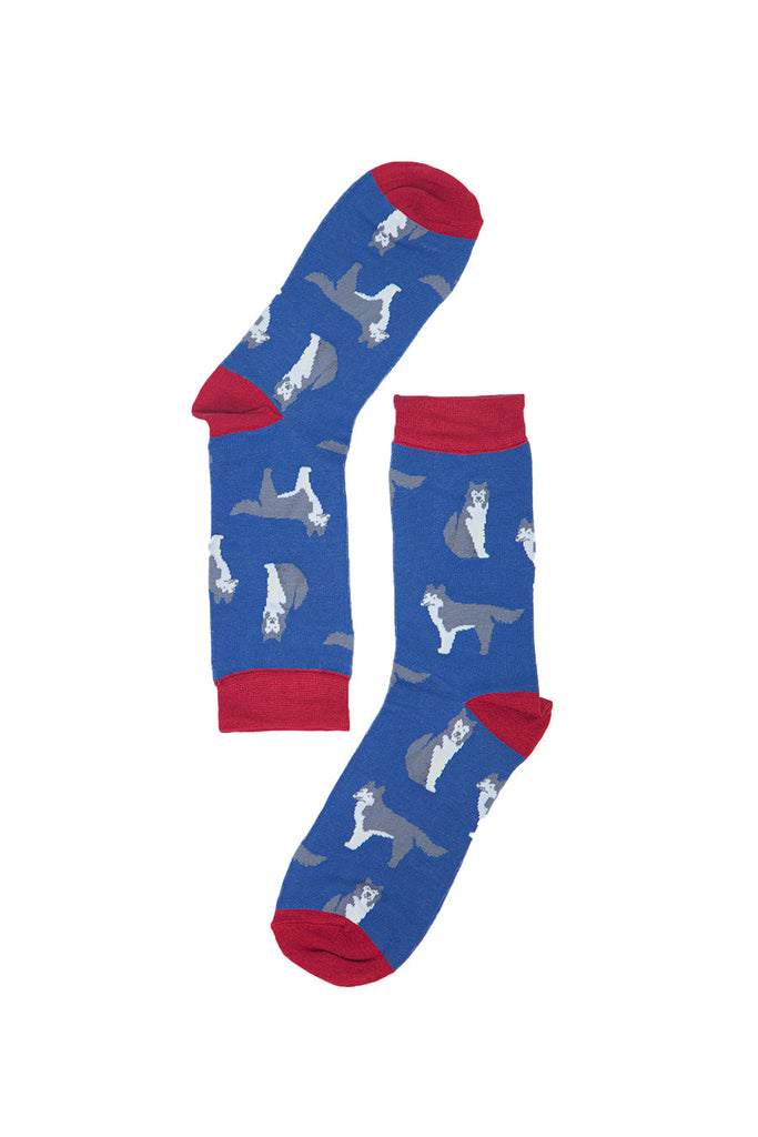 blue siberian husky dog socks