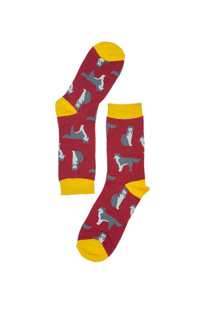 red siberian husky dog socks