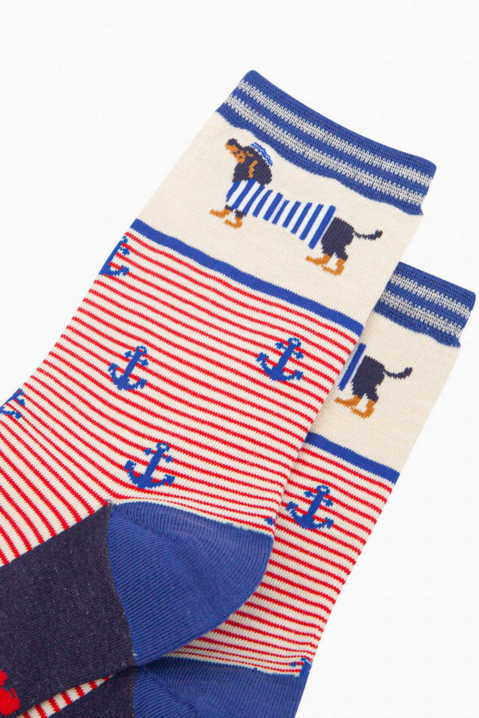 womens-bamboo-socks-cream-sausage-dog-sailor-stripe-close-up-dachshund-dresses-blue-striped-hat-jersey-blue-anchors-red-stripes