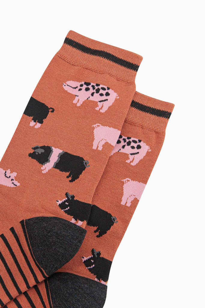 mens-bamboo-socks-rust-pigs-close-up-a-varitety-of-pig-breeds-spotted-striped-pink
