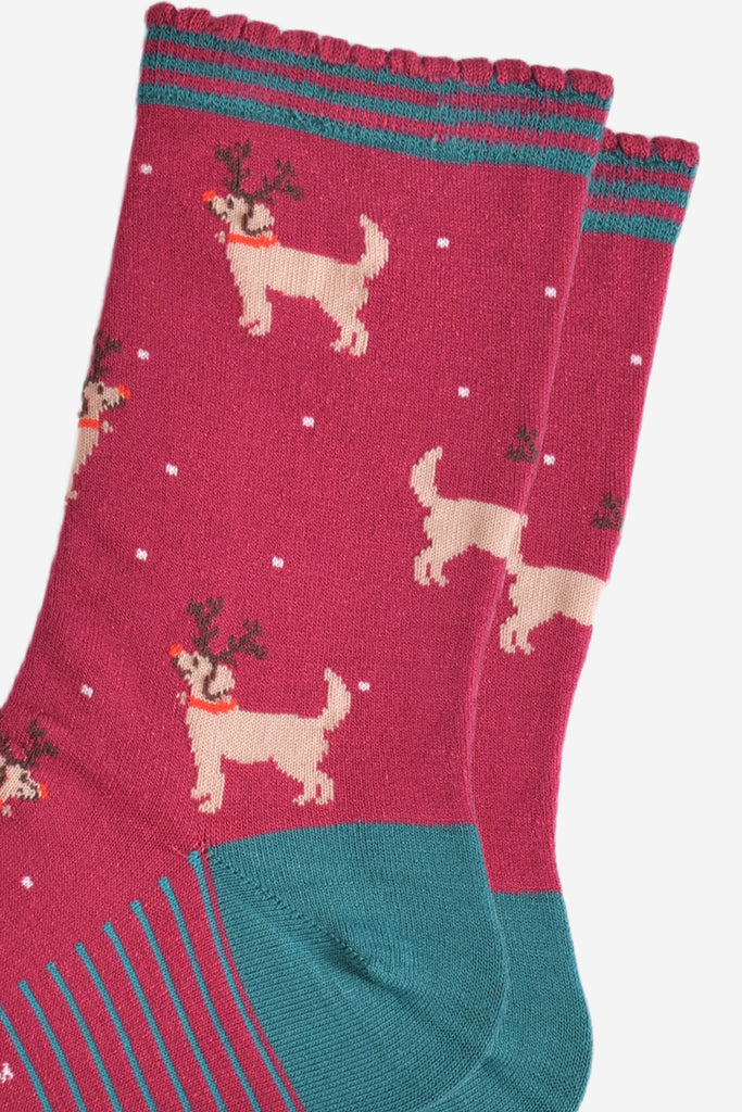 close up of the golden retriever pattern, the dogs are standing and are wearing antlers and red noses