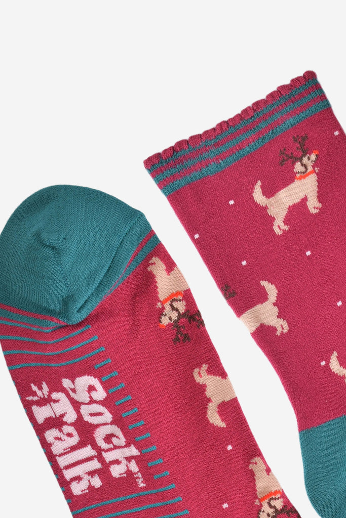 close up of the toe and heel, the toes are green and the cuffs are scalloped with green and burgundy stripes