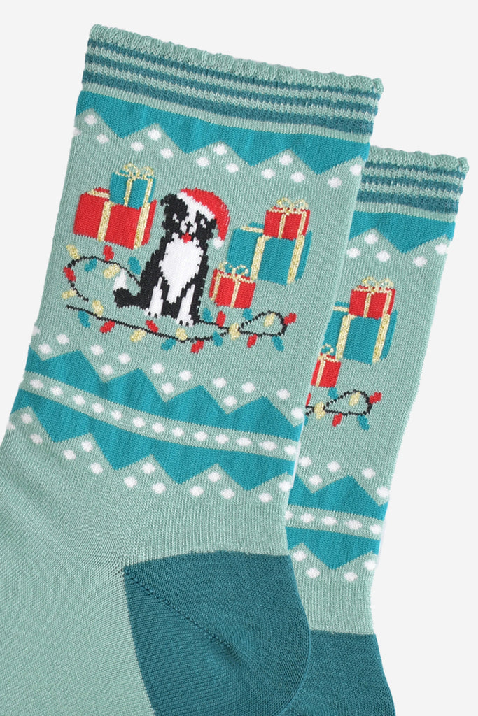 close up of the border collie on the ankle of the socks, it is wearing a red santa hat and sitting among red and green xmas presents, on the floor at the dogs feet there is a string of colourful party lights
