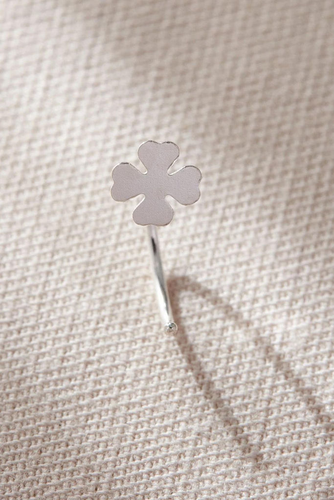 close up of the four leaf clover flower