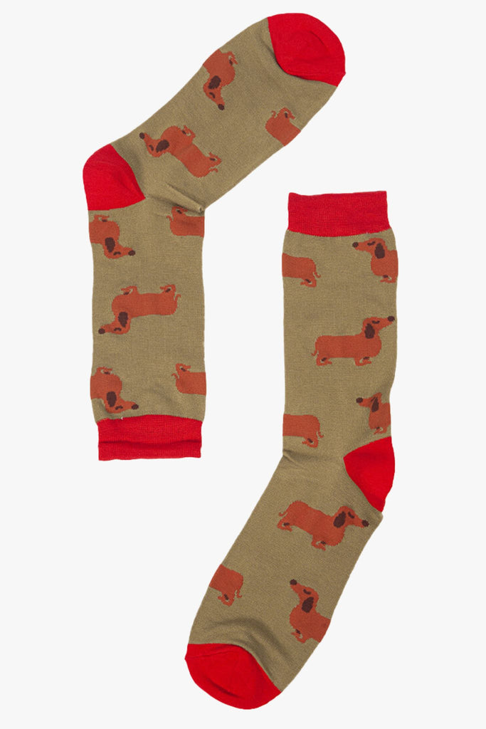 mustard red socks with miniature dachshunds on them