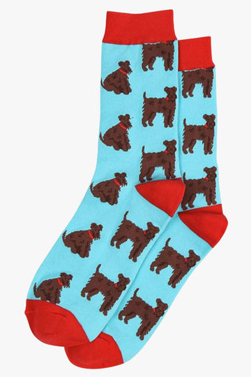 blue, red dress socks with schnauzer dogs on them