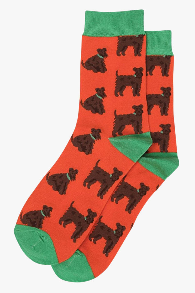 orange, green dress socks with schnauzer dogs on them