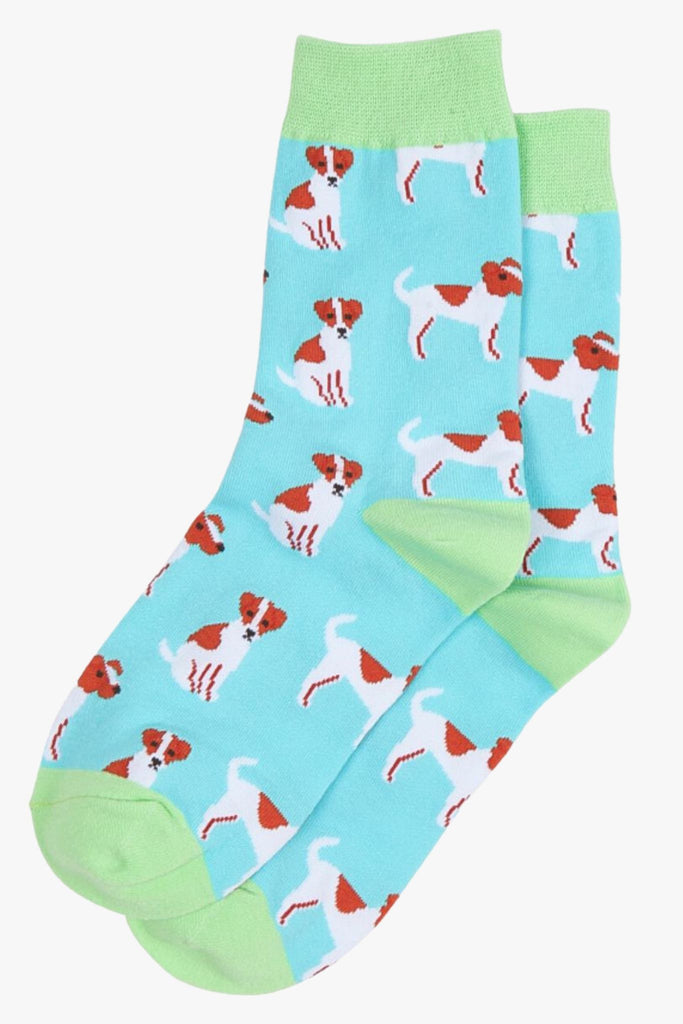 blue and green dress socks with jack russell dogs all over