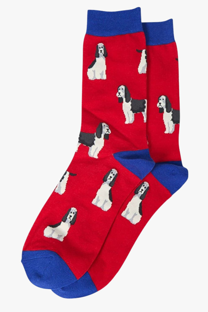 red, blue dress socks with spaniels