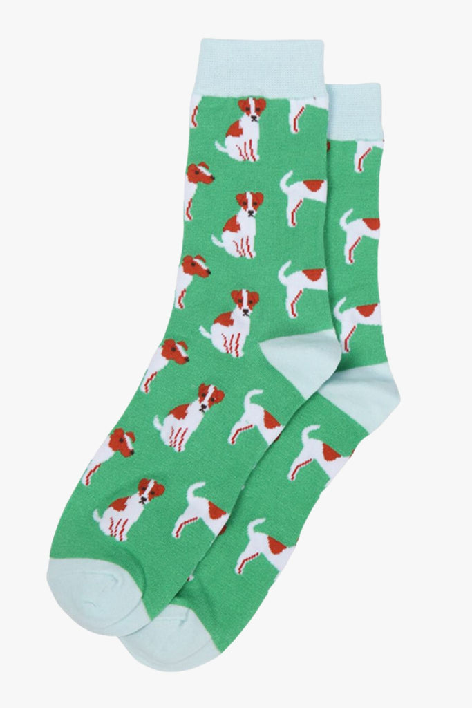 green, blue dress socks with jack russell dogs all over