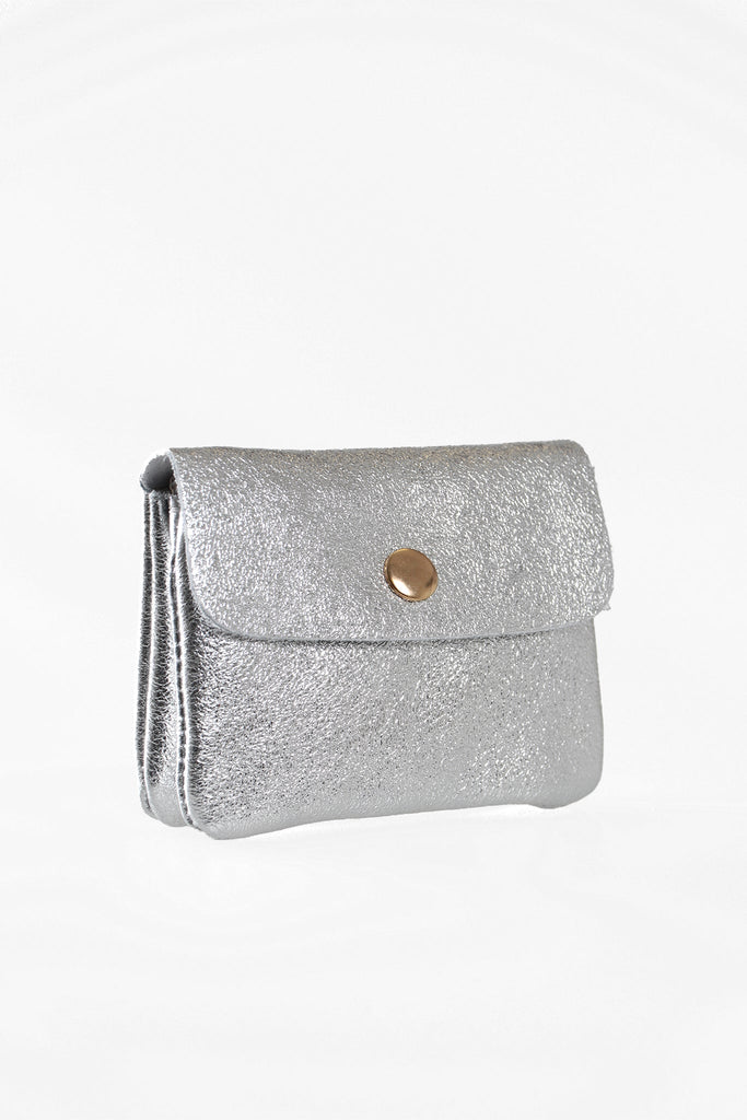 small silver coin purse with gold snap closure and inner zip