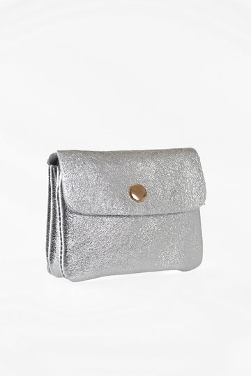 small silver coin purse with gold snap closure and inner zip